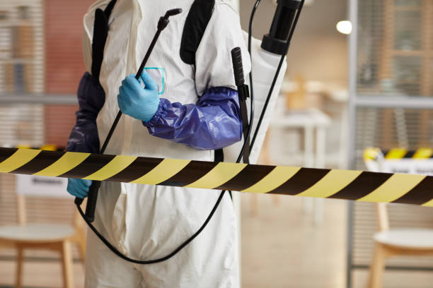 Professional Sewage Cleanup technician working in Stanton, TX